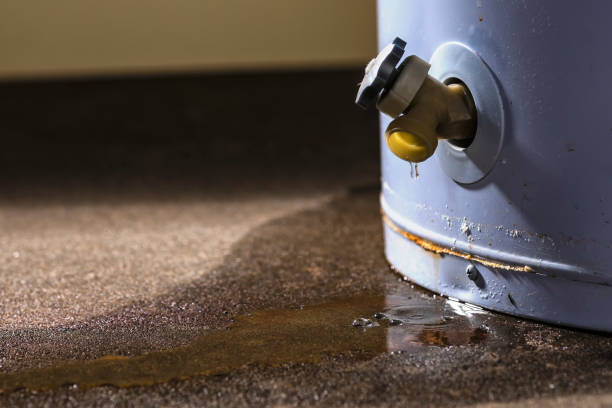 Best Ceiling water damage repair  in University Park, TX
