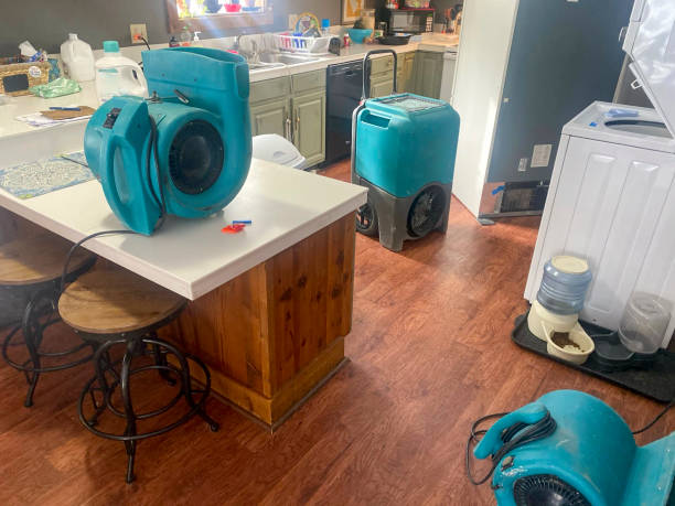 Best Flood damage cleanup  in University Park, TX