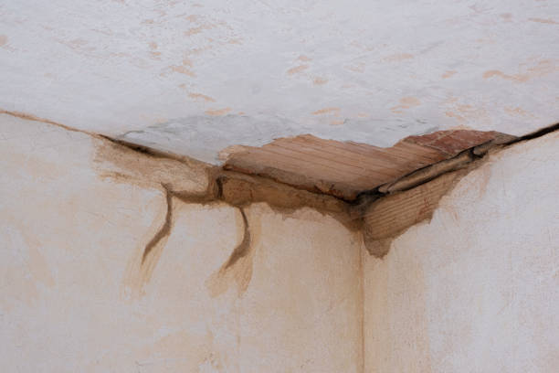 Best Water damage restoration near me  in University Park, TX