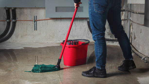 Best Carpet water damage restoration  in University Park, TX