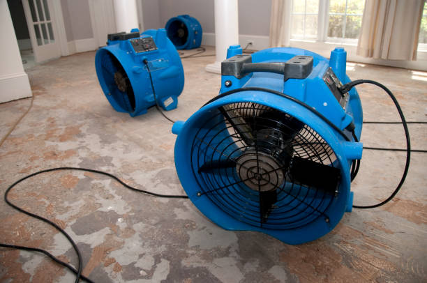 Best 24/7 water damage repair  in University Park, TX
