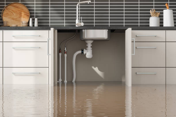 Best 24-hour water damage restoration  in University Park, TX