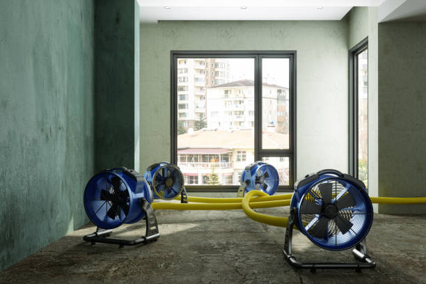 Best Water damage restoration mold remediation  in University Park, TX